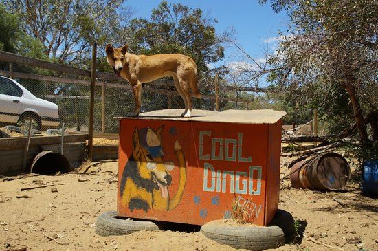 Waminda Wildlife Sanctuary